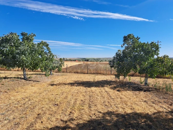 Moradia T4 para Venda em Ferreira do Alentejo e Canhestros Foto 22