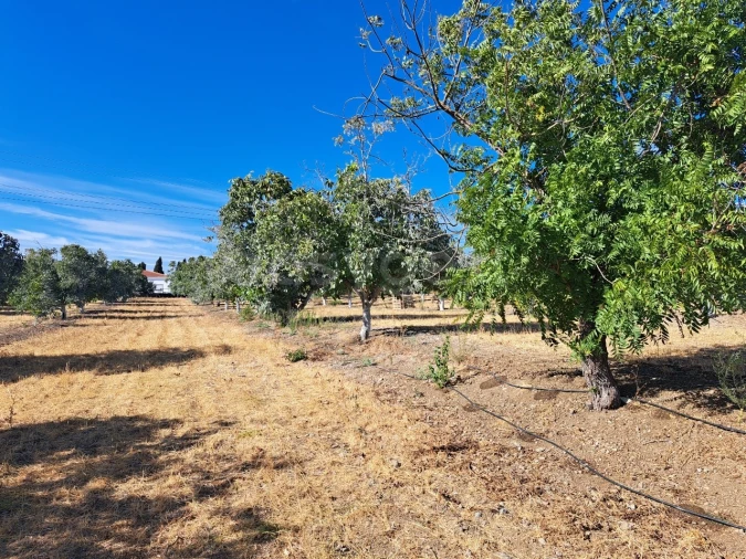 Moradia T4 para Venda em Ferreira do Alentejo e Canhestros Foto 25