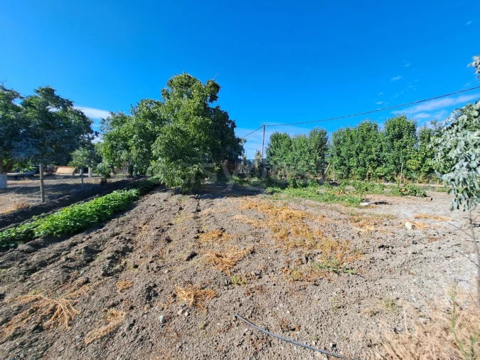 Moradia T4 para Venda em Ferreira do Alentejo e Canhestros Foto 26