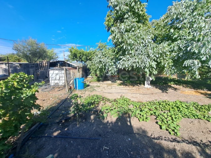 Moradia T4 para Venda em Ferreira do Alentejo e Canhestros Foto 27