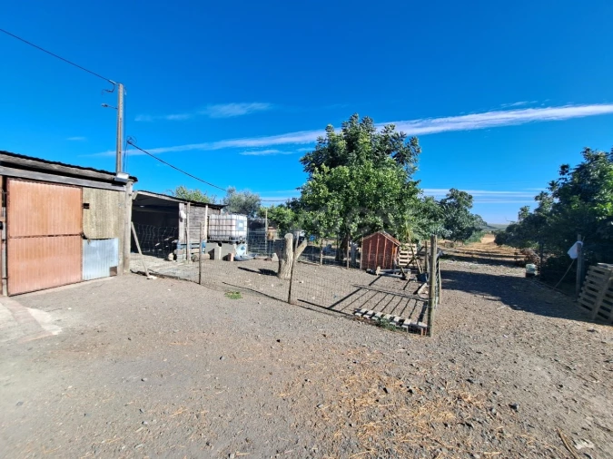 Moradia T4 para Venda em Ferreira do Alentejo e Canhestros Foto 29