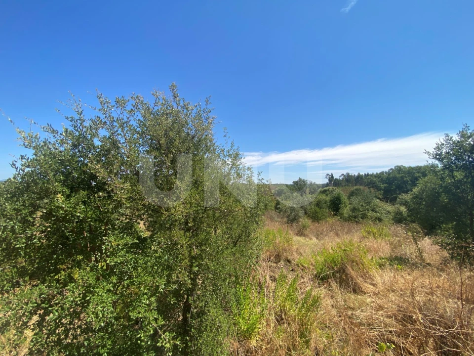 Terreno Agricola ou Rústico para Venda em Vila Velha de Rodão Foto 1