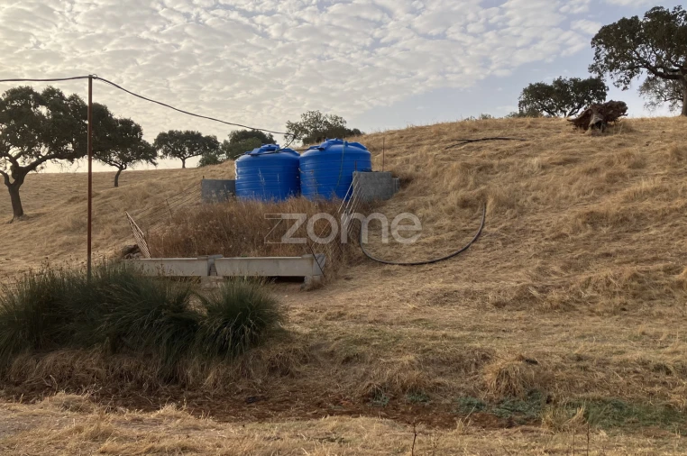 Quinta T18 para Venda em Cabeça Gorda Foto 11
