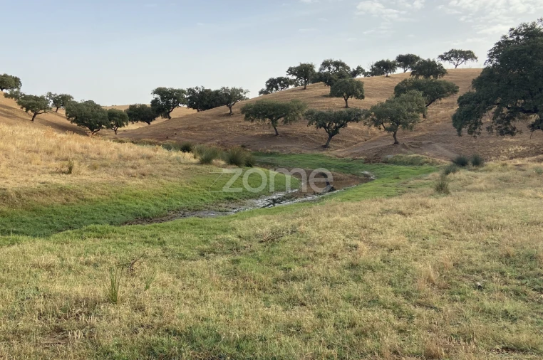 Quinta T18 para Venda em Cabeça Gorda Foto 29