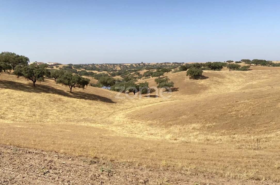 Quinta T18 para Venda em Cabeça Gorda Foto 14