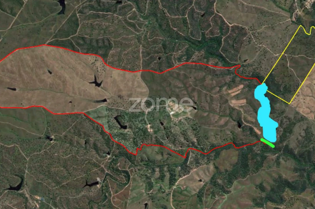 Quinta T18 para Venda em Cabeça Gorda Foto 10