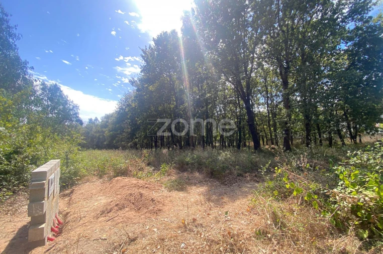 Moradia T2 para Venda em Barrô e Aguada de Baixo Foto 5