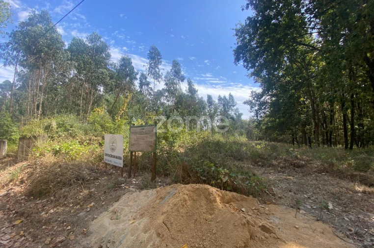 Moradia T2 para Venda em Barrô e Aguada de Baixo Foto 6