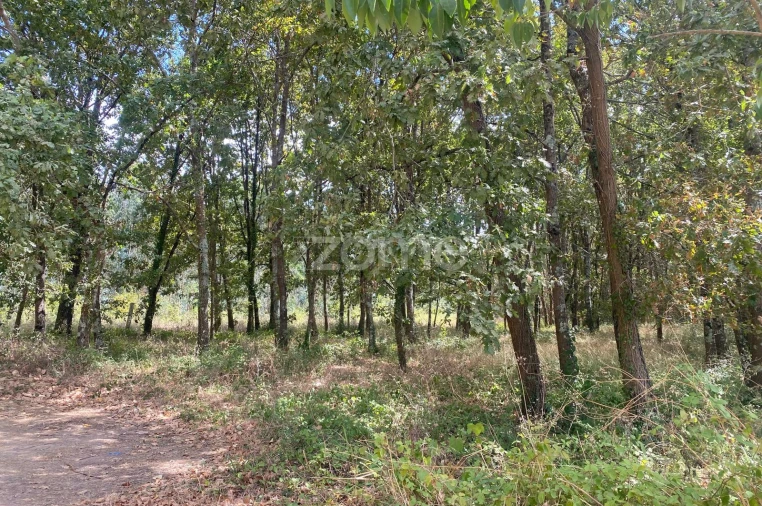 Moradia T2 para Venda em Barrô e Aguada de Baixo Foto 8