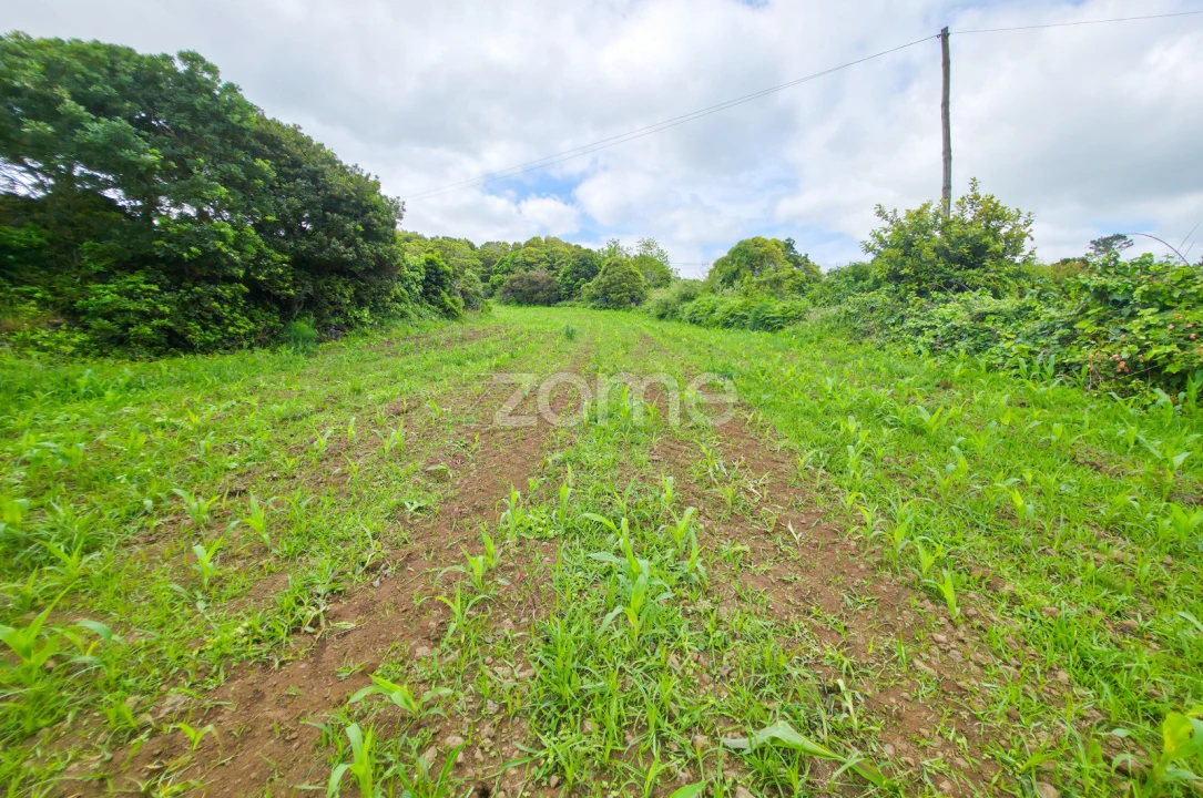 Terreno para Venda em Santo Antonio Foto 24