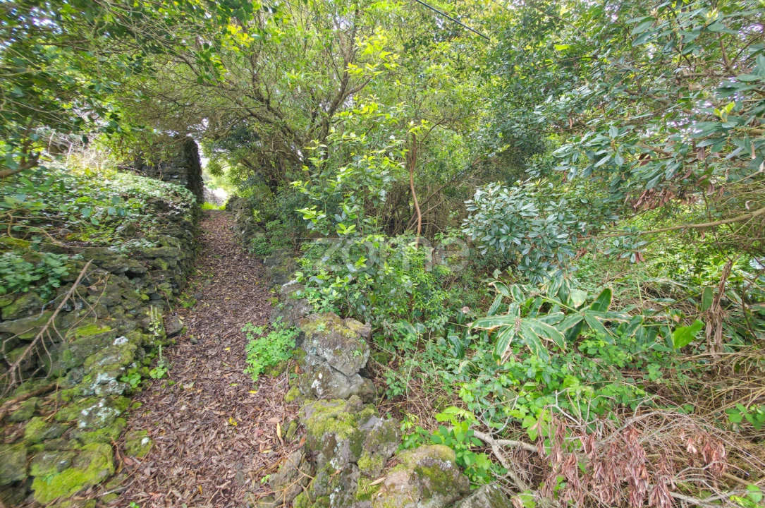 Terreno para Venda em Santo Antonio Foto 26