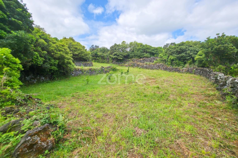 Terreno para Venda em Santo Antonio Foto 28