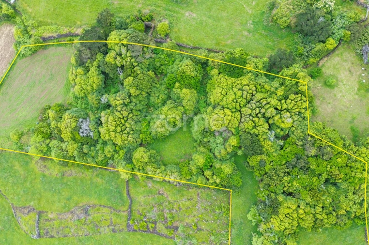Terreno para Venda em Santo Antonio Foto 33