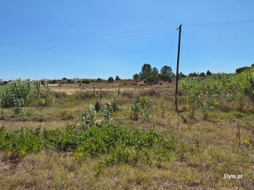 Moradia T3 para Venda em Branca
