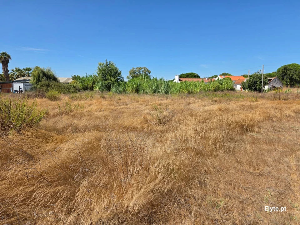 Moradia T3 para Venda em Branca Foto 1