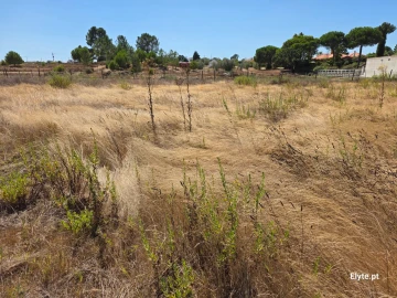 Moradia T2 para Venda em Branca