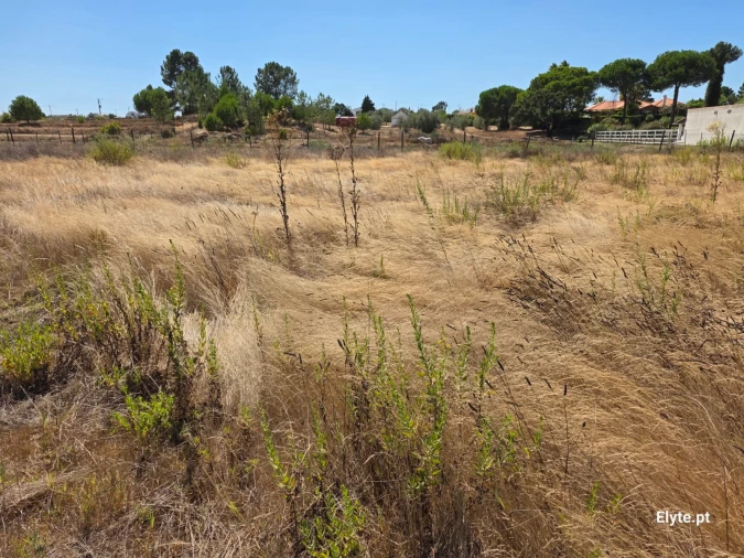 Moradia T2 para Venda em Branca Foto 1