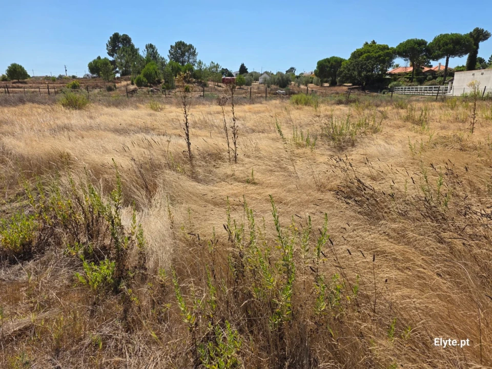 Moradia T2 para Venda em Branca Foto 1