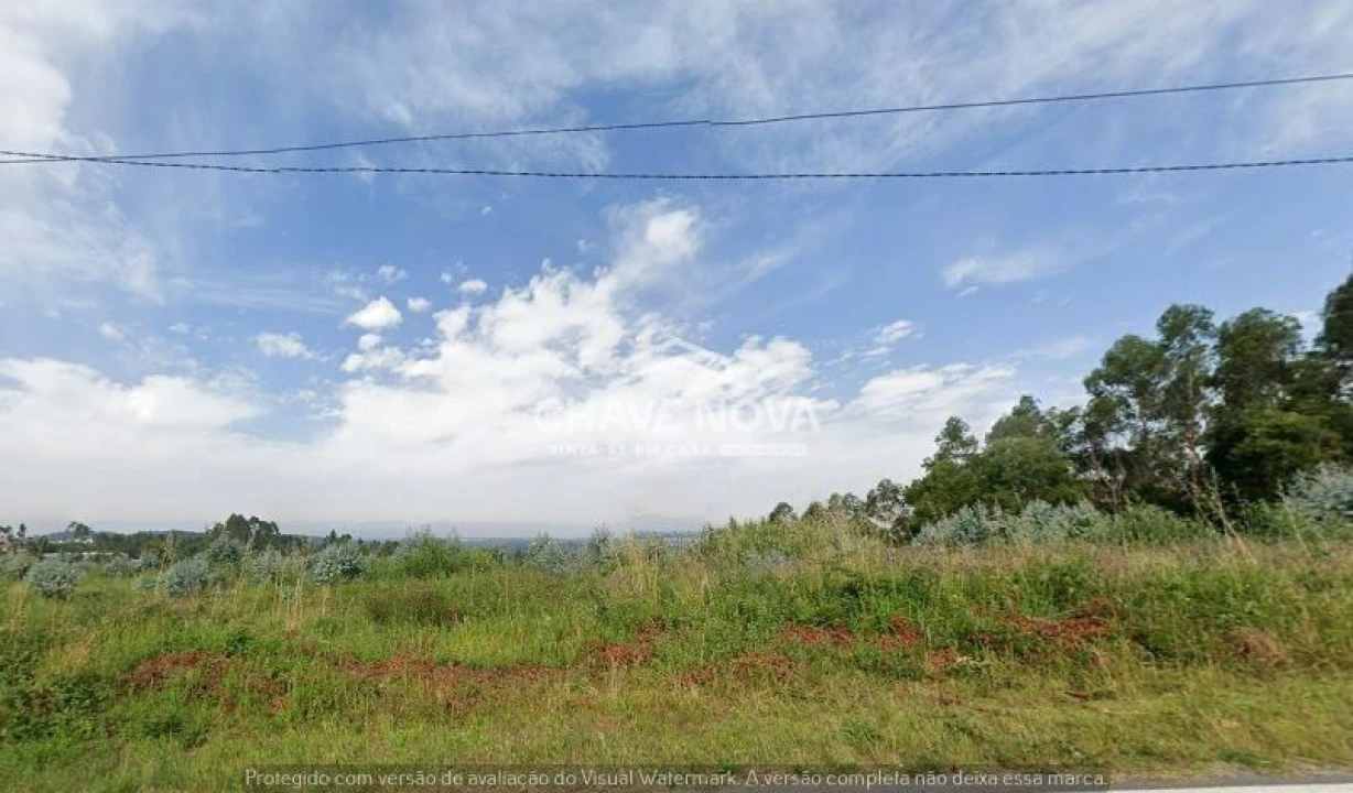 Terreno Agricola ou Rústico para Venda em Santa Maria da Feira, Travanca, Sanfins e Espargo Foto 4