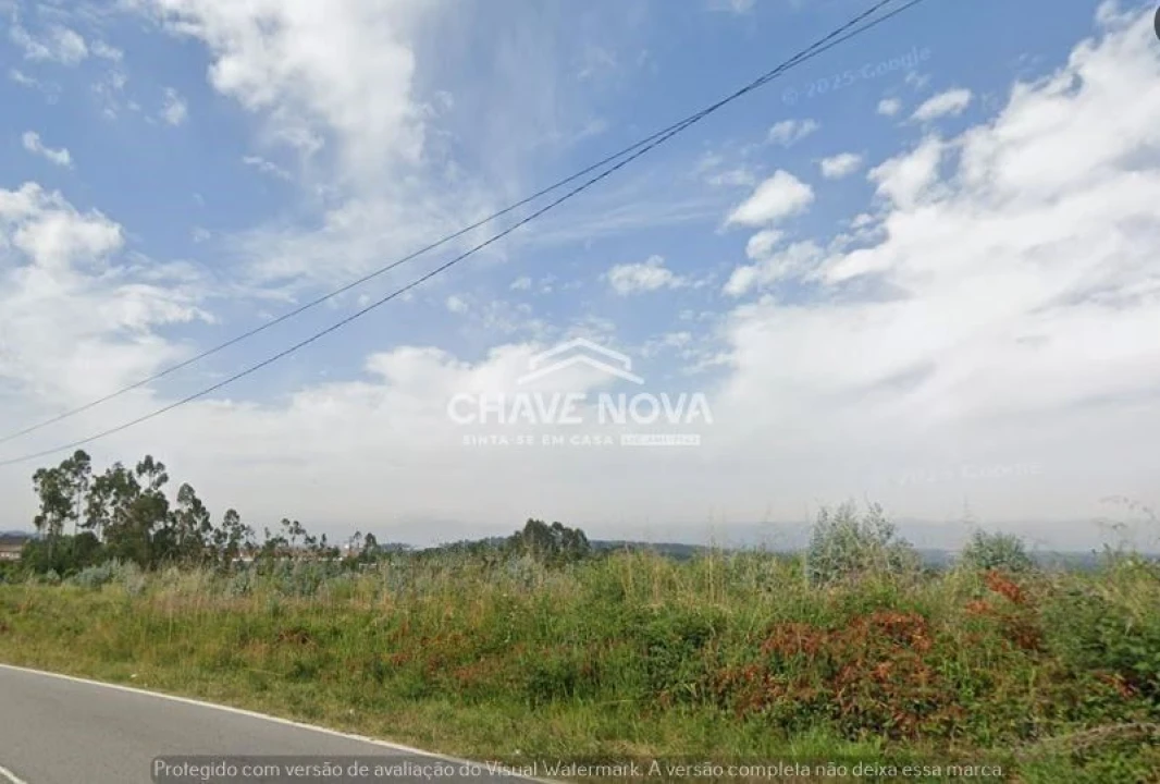 Terreno Agricola ou Rústico para Venda em Santa Maria da Feira, Travanca, Sanfins e Espargo Foto 5