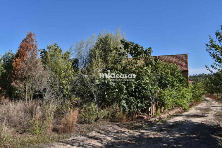 Moradia T3 para Venda em Vilarinho do Bairro Foto 8