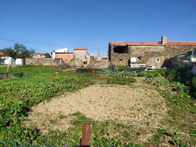 Moradia T3 para Venda em Proença-A-Nova e Peral Foto 22