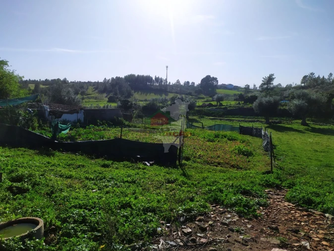 Moradia T3 para Venda em Proença-A-Nova e Peral Foto 16