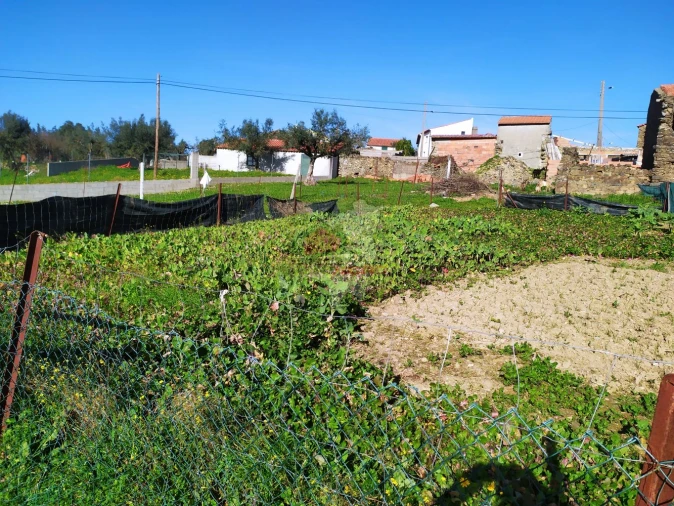 Moradia T3 para Venda em Proença-A-Nova e Peral Foto 21