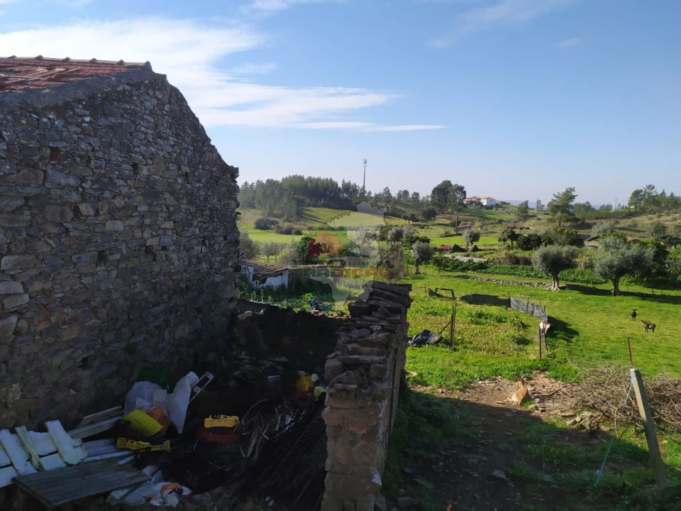 Moradia T3 para Venda em Proença-A-Nova e Peral Foto 15