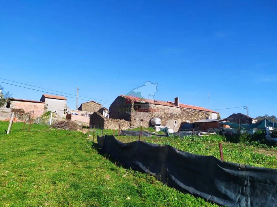 Moradia T3 para Venda em Proença-A-Nova e Peral Foto 18