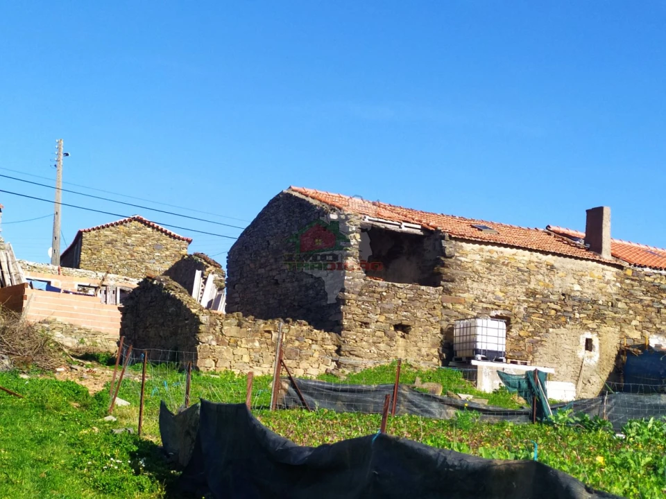 Moradia T3 para Venda em Proença-A-Nova e Peral Foto 20