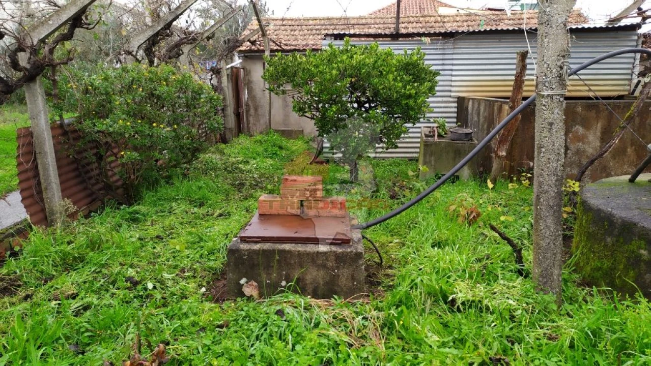 Quinta T0 para Venda em Sertã Foto 21