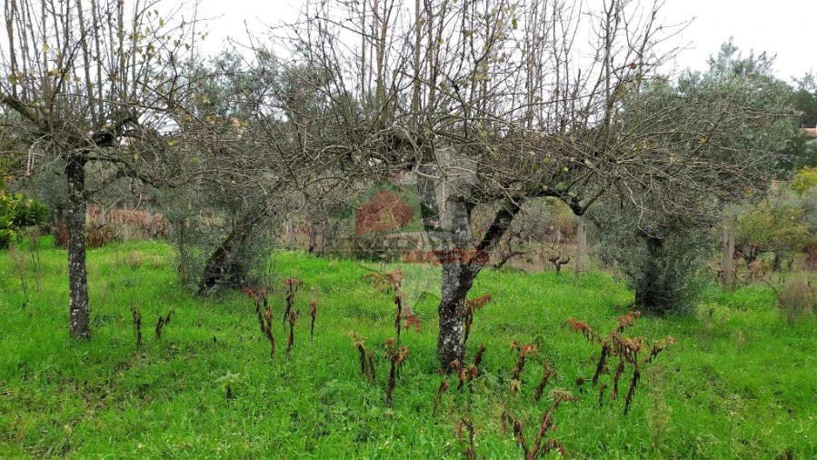 Quinta T0 para Venda em Sertã Foto 27