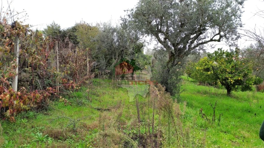 Quinta T0 para Venda em Sertã Foto 26