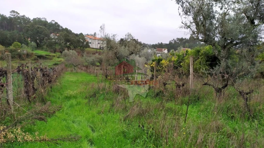 Quinta T0 para Venda em Sertã Foto 35