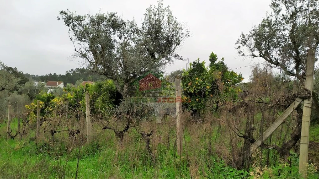 Quinta T0 para Venda em Sertã Foto 36