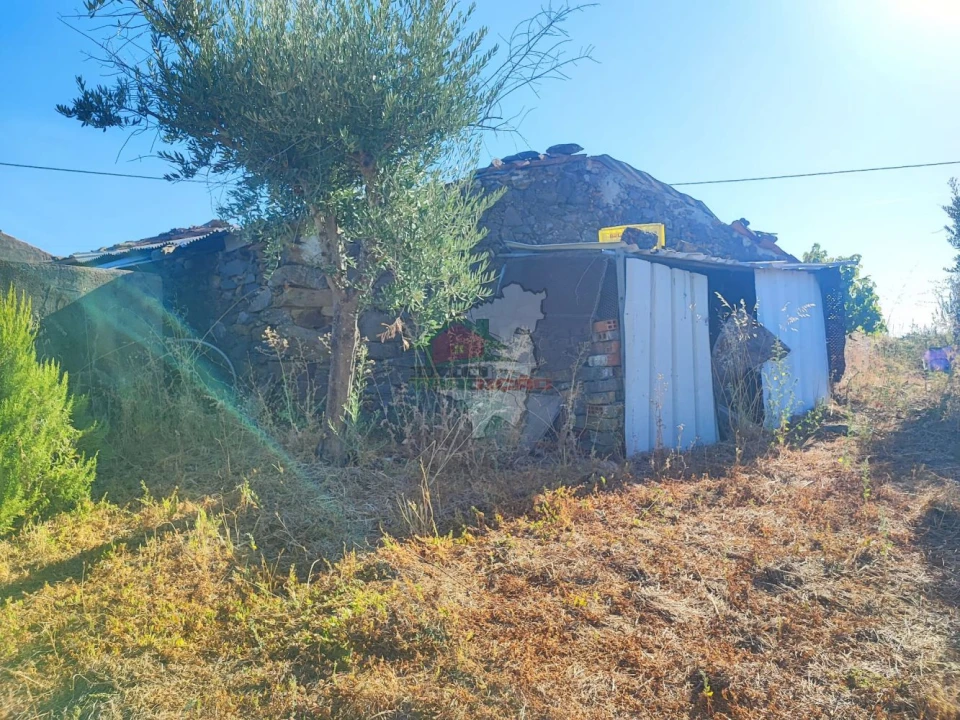 Moradia T1 para Venda em Proença-A-Nova e Peral Foto 34