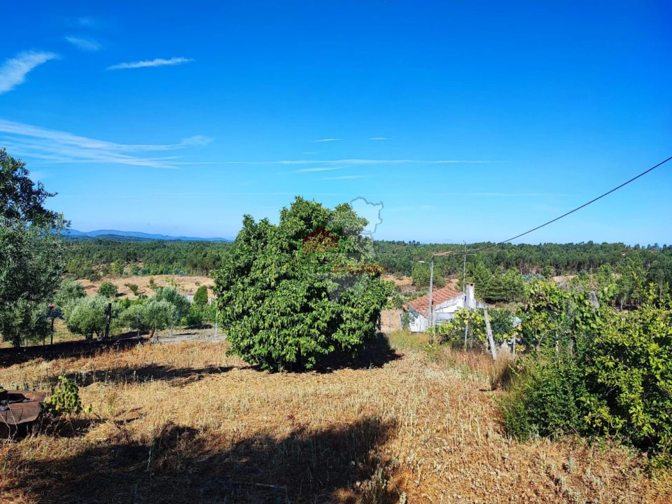 Moradia T1 para Venda em Proença-A-Nova e Peral Foto 21