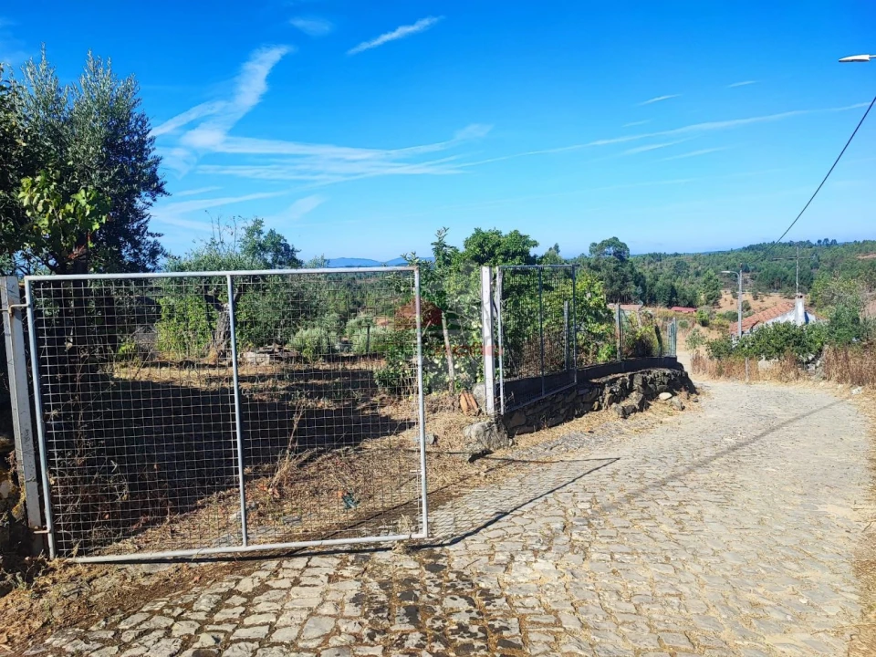 Moradia T1 para Venda em Proença-A-Nova e Peral Foto 25