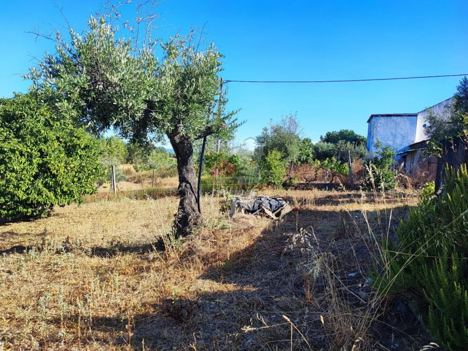 Moradia T1 para Venda em Proença-A-Nova e Peral Foto 18