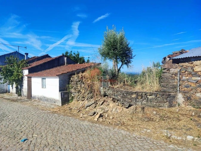 Moradia T1 para Venda em Proença-A-Nova e Peral Foto 30