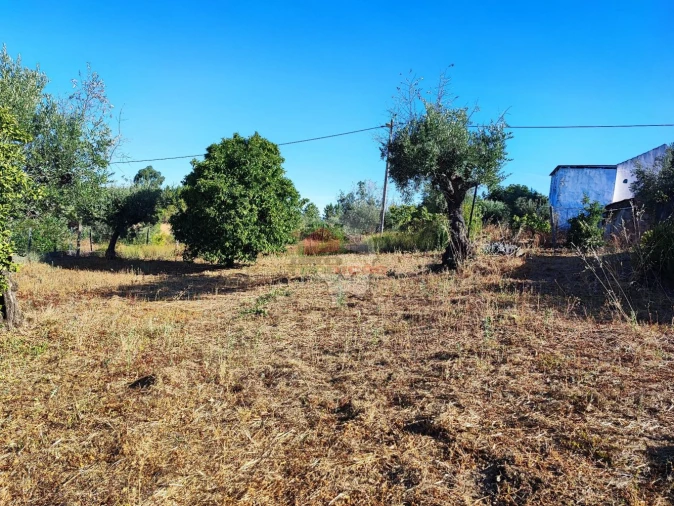 Moradia T1 para Venda em Proença-A-Nova e Peral Foto 16