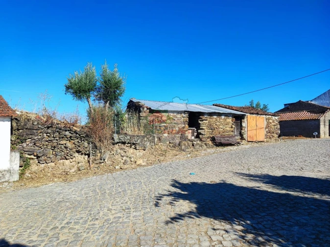 Moradia T1 para Venda em Proença-A-Nova e Peral Foto 3