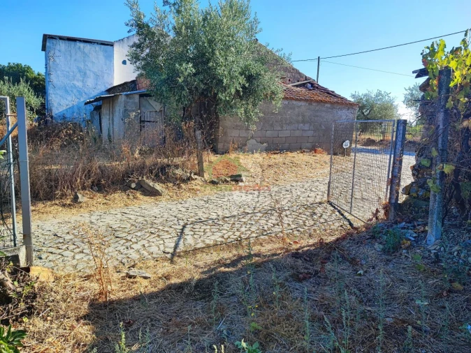 Moradia T1 para Venda em Proença-A-Nova e Peral Foto 20