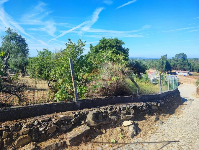 Moradia T1 para Venda em Proença-A-Nova e Peral Foto 26