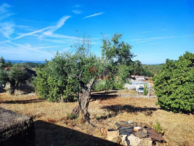 Moradia T1 para Venda em Proença-A-Nova e Peral Foto 24