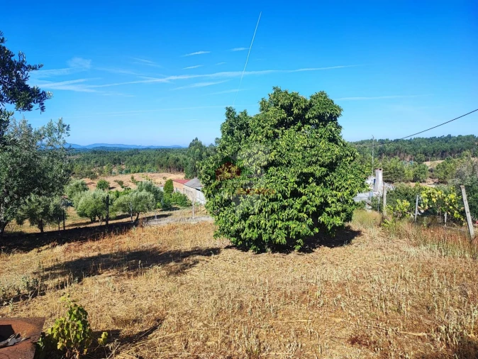 Moradia T1 para Venda em Proença-A-Nova e Peral Foto 31