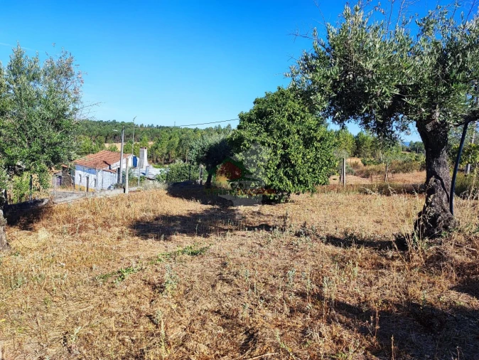 Moradia T1 para Venda em Proença-A-Nova e Peral Foto 17