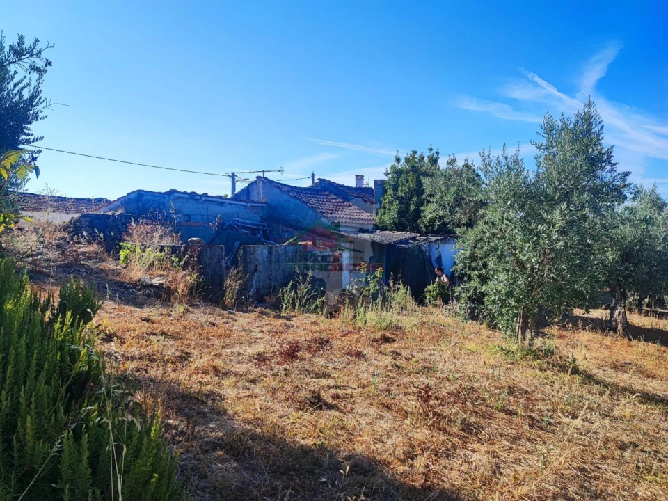 Moradia T1 para Venda em Proença-A-Nova e Peral Foto 32