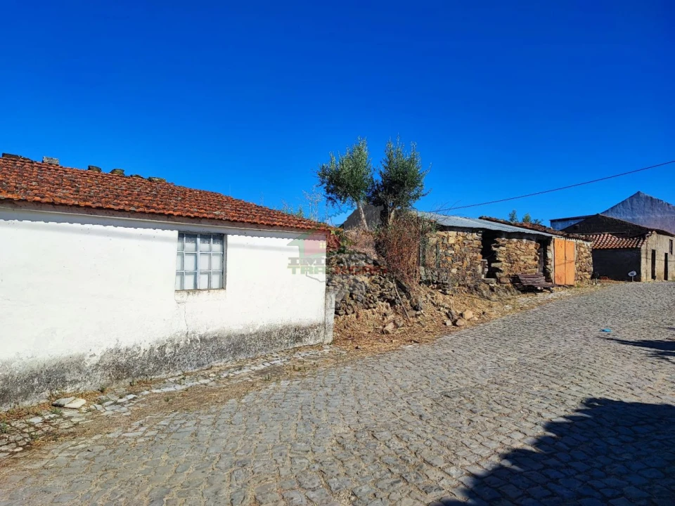 Moradia T1 para Venda em Proença-A-Nova e Peral Foto 2